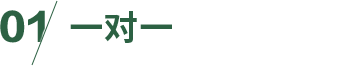 一对一